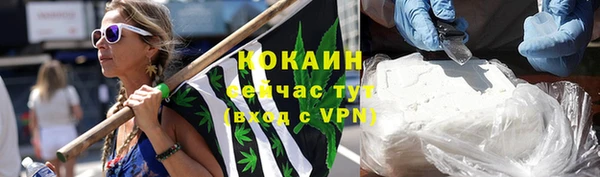 PSILOCYBIN Лихославль