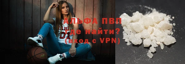 PSILOCYBIN Липки