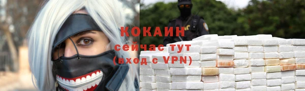 соль ск Лиски