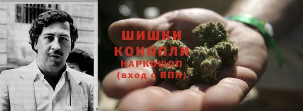 PSILOCYBIN Липки