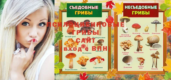 PSILOCYBIN Липки