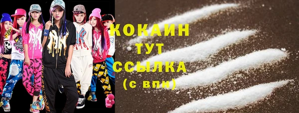 соль ск Лиски