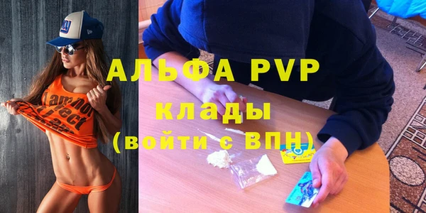 PSILOCYBIN Лихославль