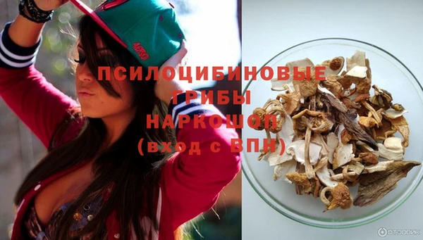 соль ск Лиски