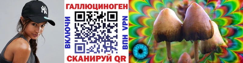 Галлюциногенные грибы Psilocybine cubensis  Купить закладки  Кириллов 